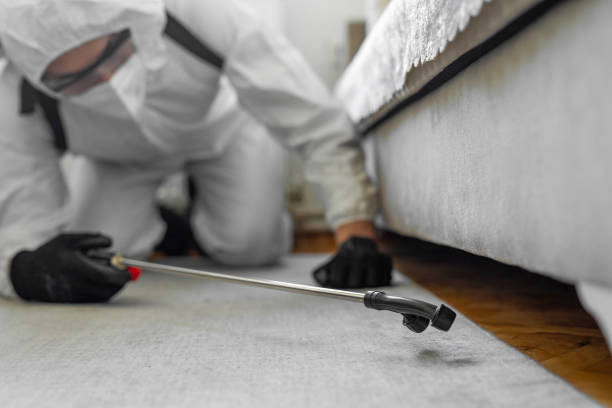 Professional Bed Bug Control technician working in Forsgate, NJ