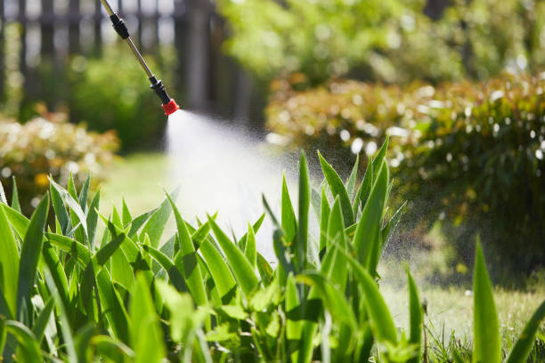 24/7 Emergency Bed Bug Control experts in Forsgate, NJ
