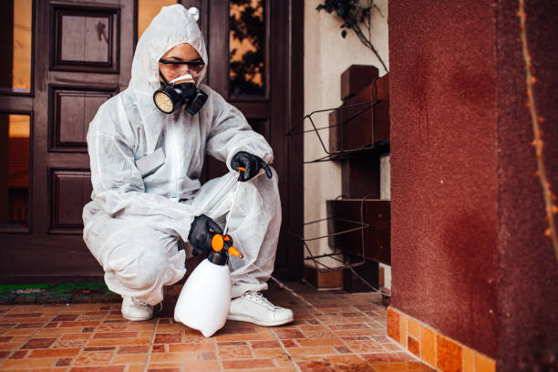 Reliable Bed Bug Control contractor in Forsgate, NJ by Nex Pest Control