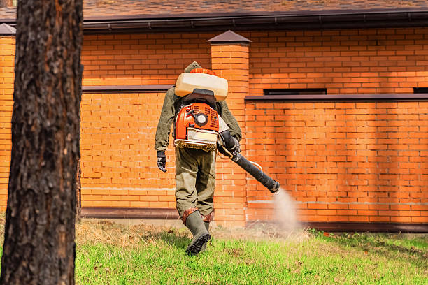 Top rated local Bed Bug Control specialists in Forsgate, NJ